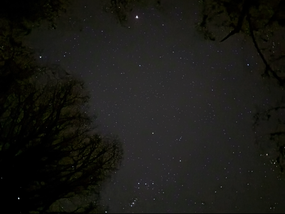 This is the stars that were brighlty shown.