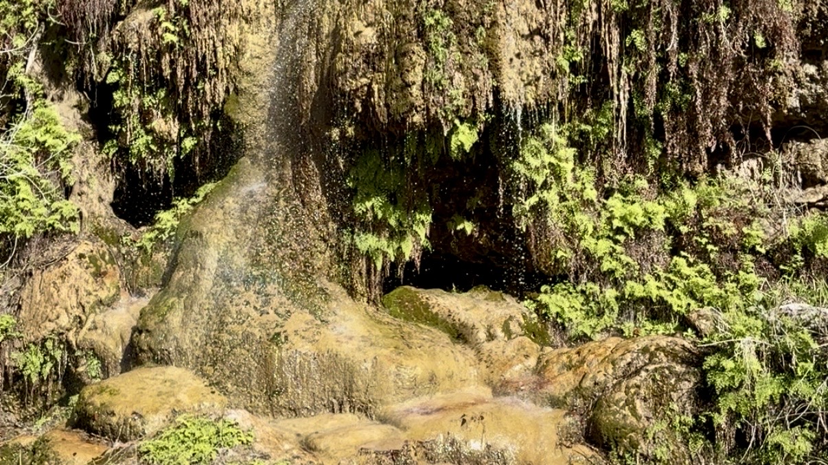 This is a photo of the dripping springs that I passed by on a walk.