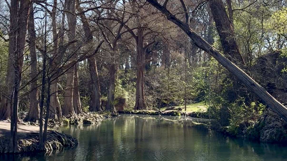This is a photo of the natural pool at Krause Springs.